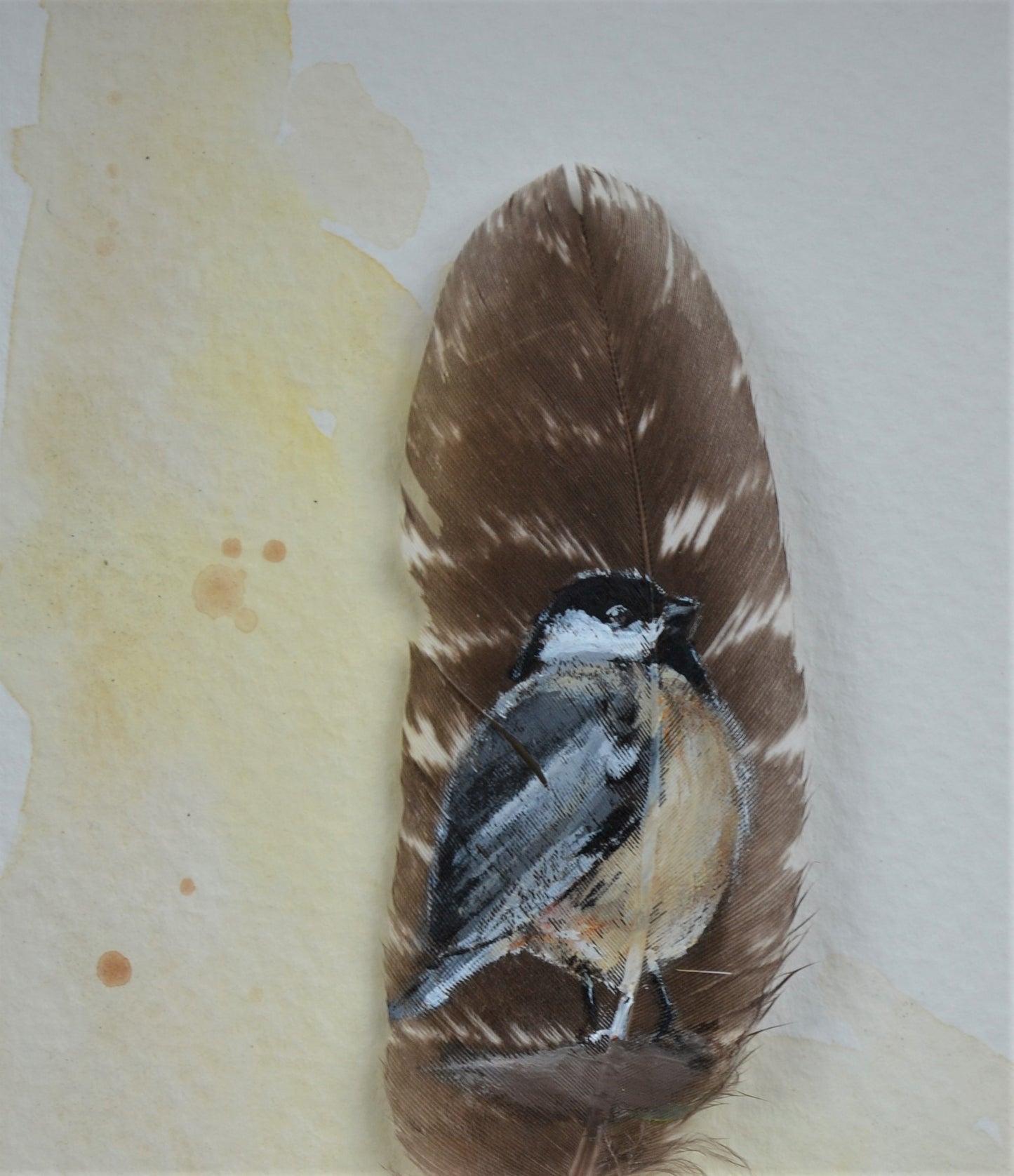 Mésange 1