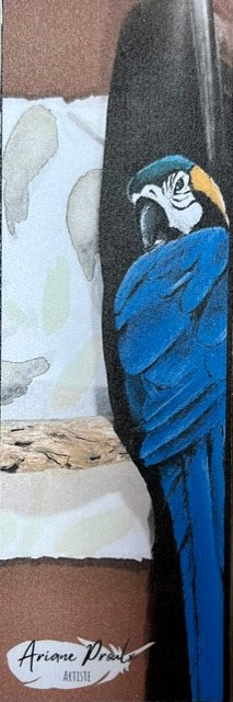 Signet - Perroquet