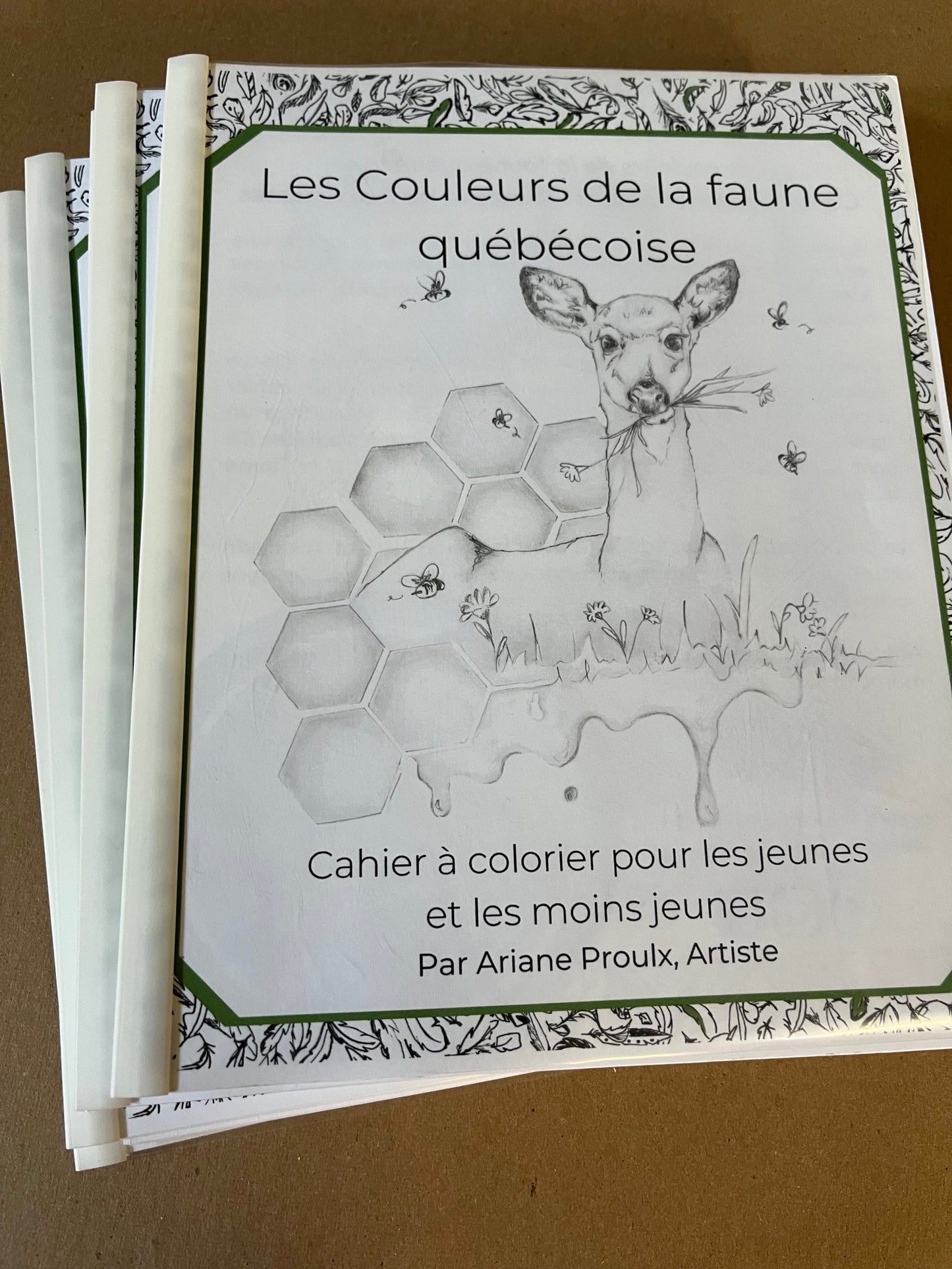 Cahier à colorier - Les couleurs de la faune québécoise